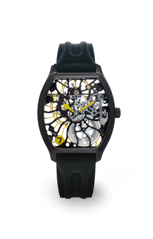 Tortue Raimbow 6047-nj 40mm