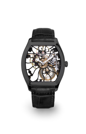 Tortue Raimbow 6047-no 40mm