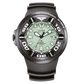 Citizen Promaster – Diver Professionnel Eco-Drive 300 m