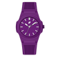Calypso Violet